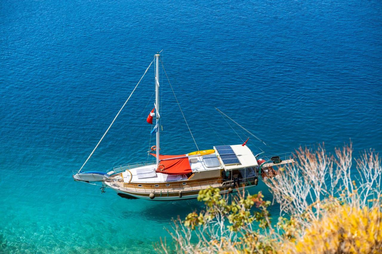 Blue Cruise Ξενοδοχείο Κας Εξωτερικό φωτογραφία